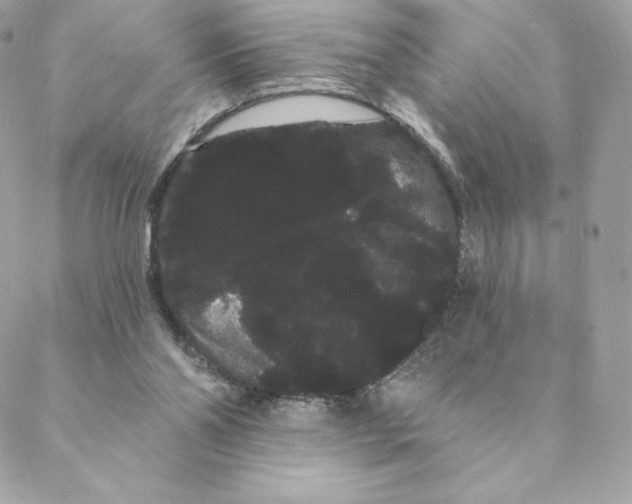 X0000088590110200706151746