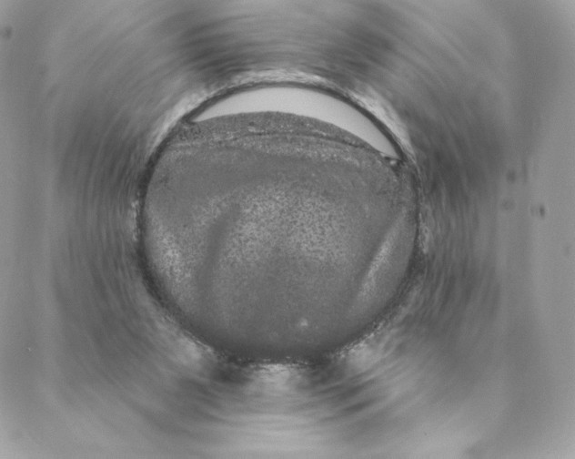 X0000088590111200706151746