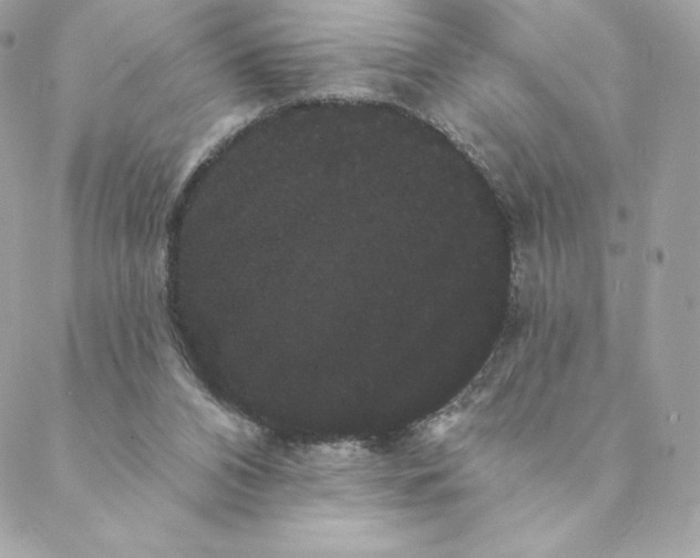 X0000088590112200706151746