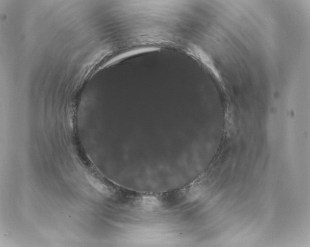 X0000088590114200706151746