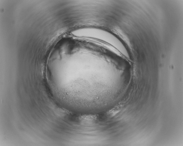 X0000088590115200706151746