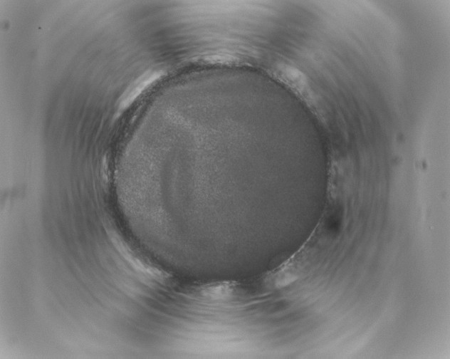 X0000088590116200706151746