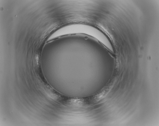 X0000088590117200706151746