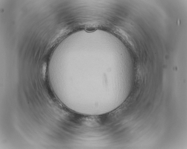 X0000088590118200706151746