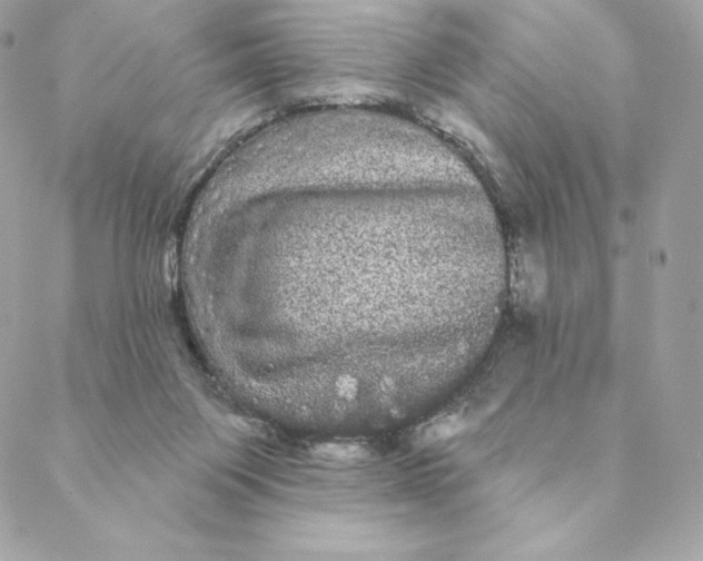 X0000088590119200706151746