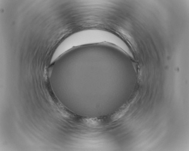 X0000088590121200706151746