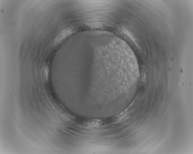 X0000088590124200706151746