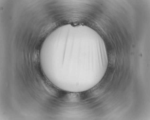 X0000088590126200706151746