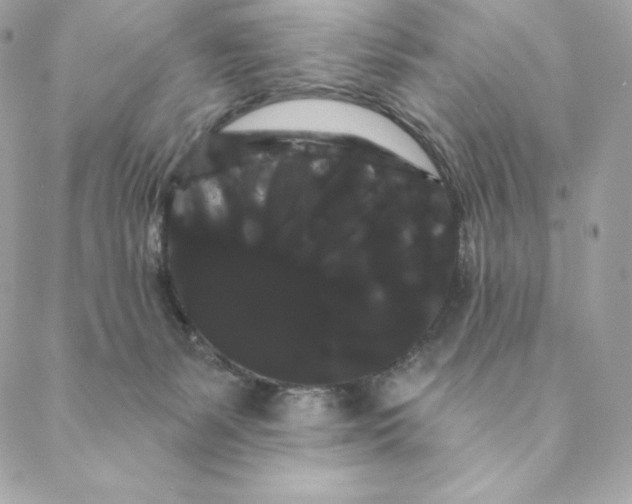 X0000088590127200706151746