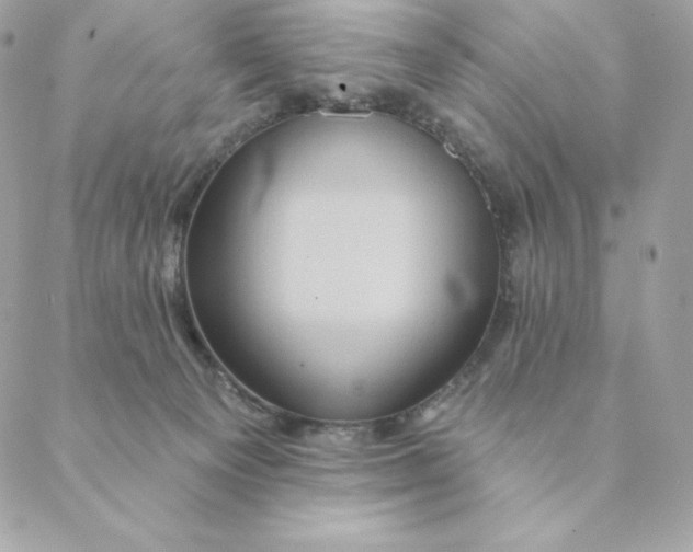 X0000088590129200706151746