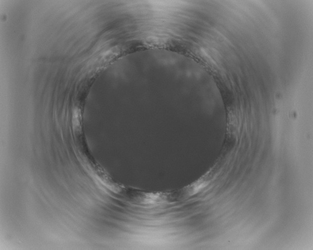 X0000088590130200706151746