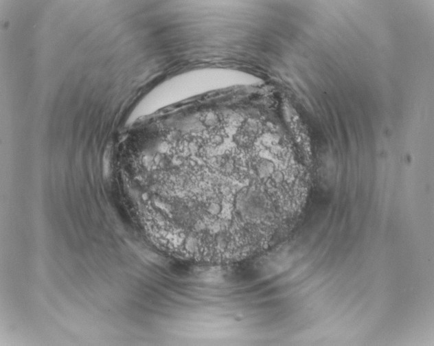 X0000088590131200706151746