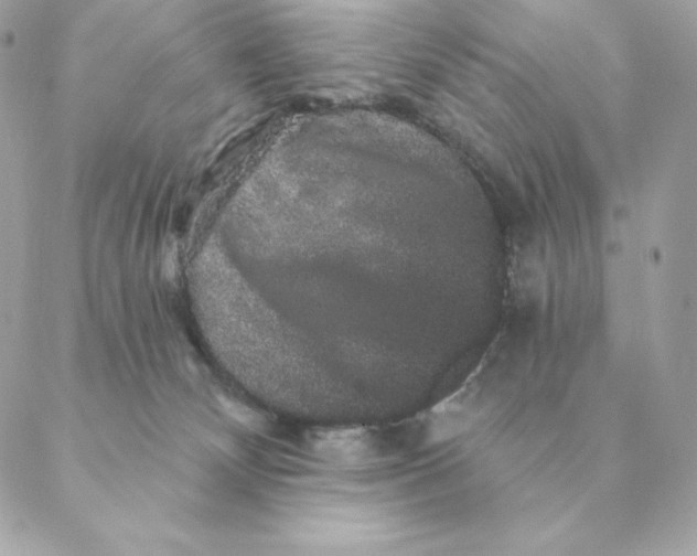 X0000088590132200706151746