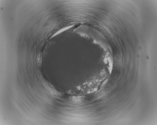 X0000088590134200706151746