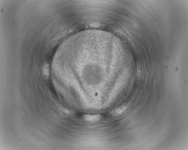 X0000088590135200706151746