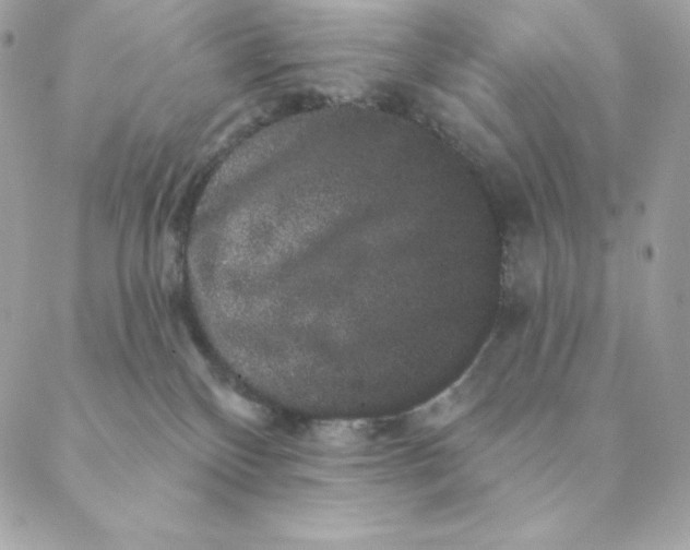 X0000088590136200706151746