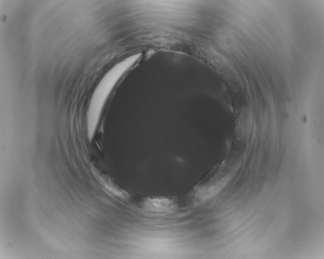 X0000088590137200706151746