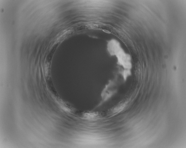 X0000088590139200706151746