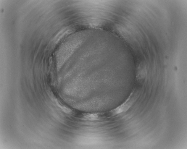 X0000088590140200706151746