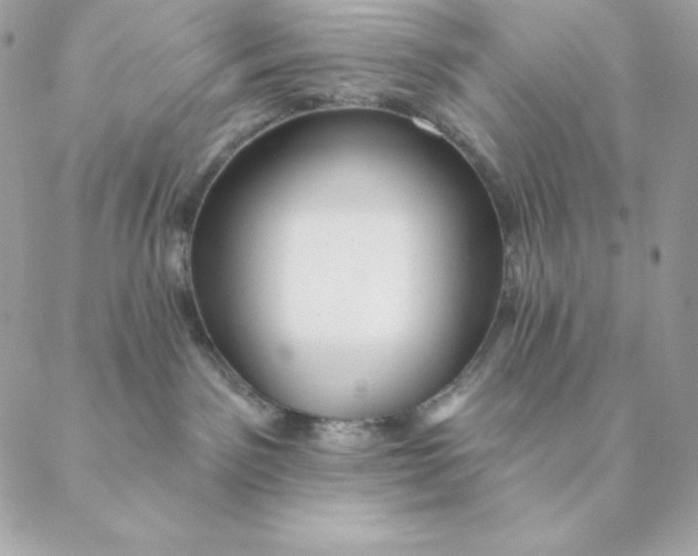 X0000088590141200706151746