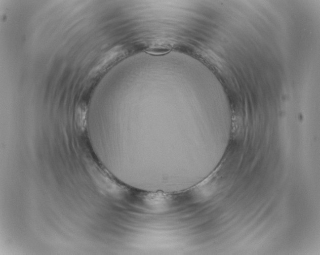 X0000088590142200706151746