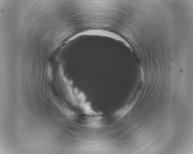 X0000088590143200706151746