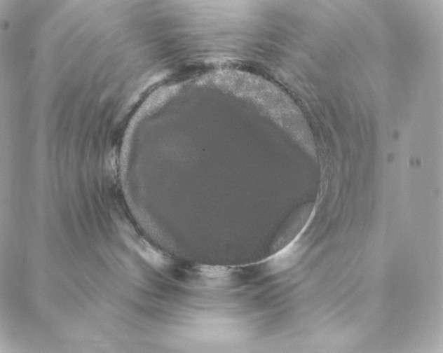 X0000088590144200706151746