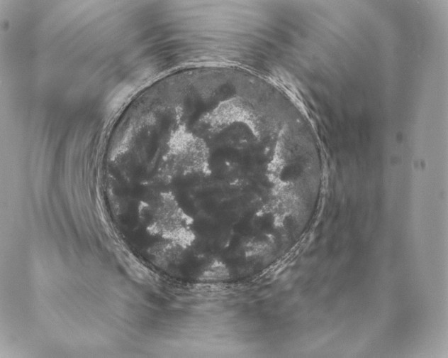 X0000088590145200706151745