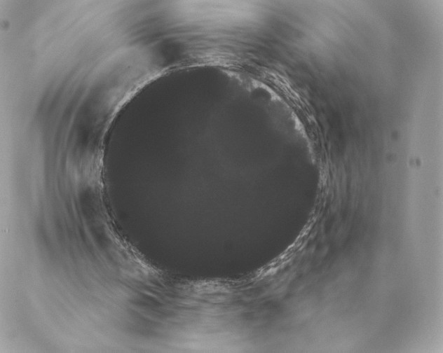 X0000088590146200706151745