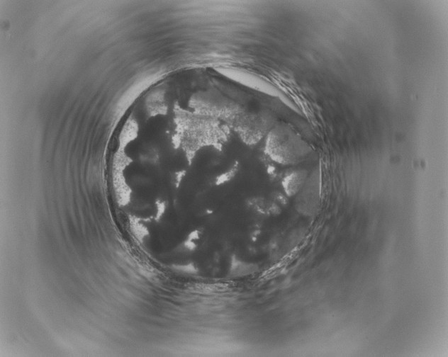 X0000088590147200706151745