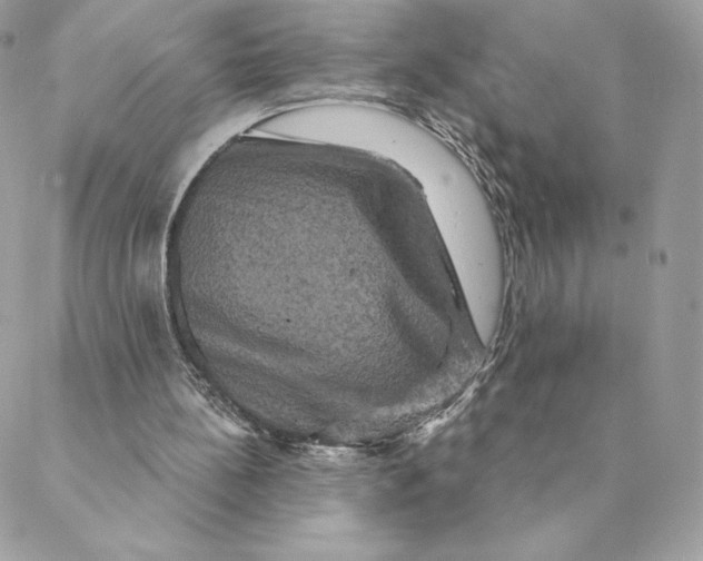 X0000088590148200706151745