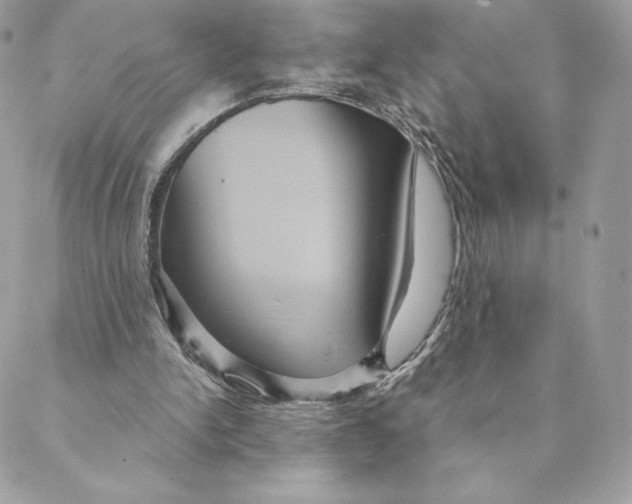 X0000088590150200706151745