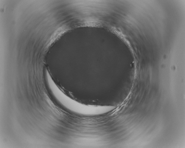 X0000088590154200706151745