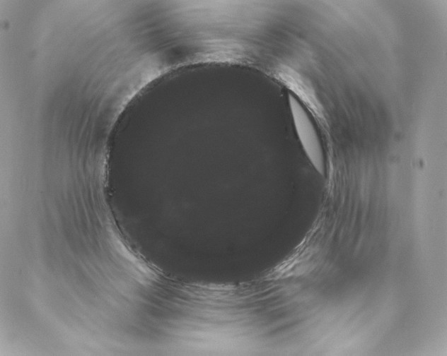 X0000088590156200706151745