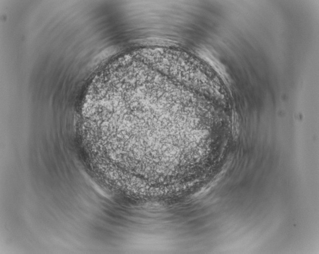 X0000088590157200706151745