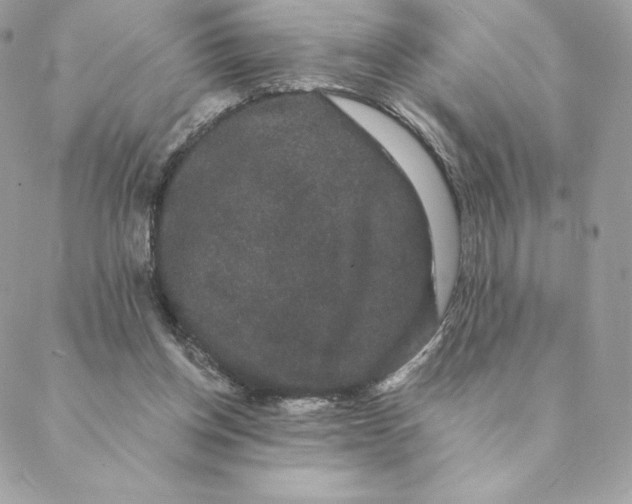 X0000088590158200706151745