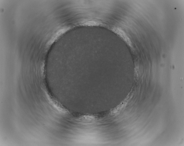 X0000088590159200706151745