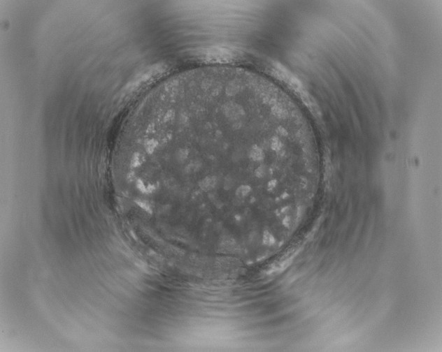 X0000088590161200706151745