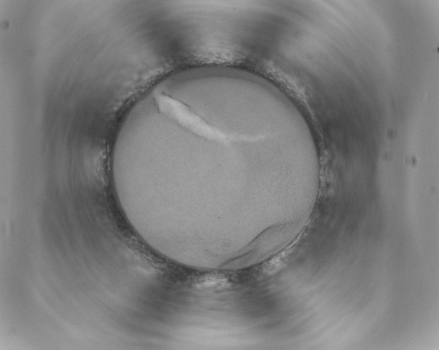 X0000088590162200706151745