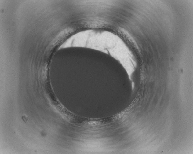 X0000088590163200706151745