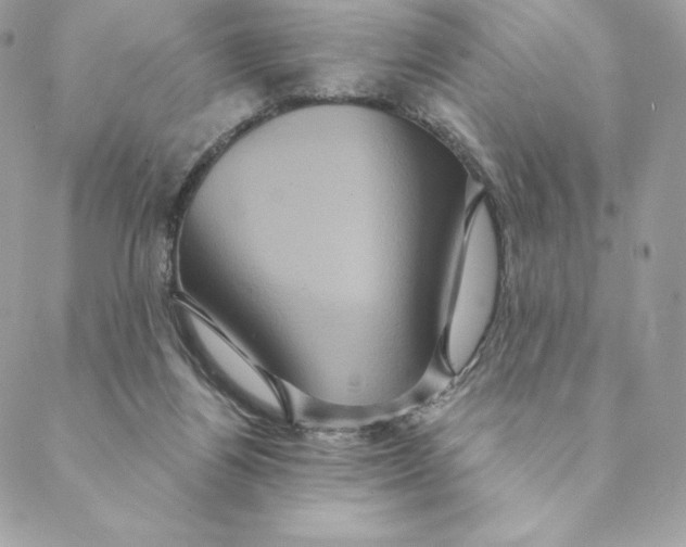 X0000088590164200706151745