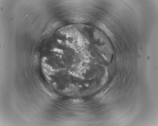 X0000088590165200706151745