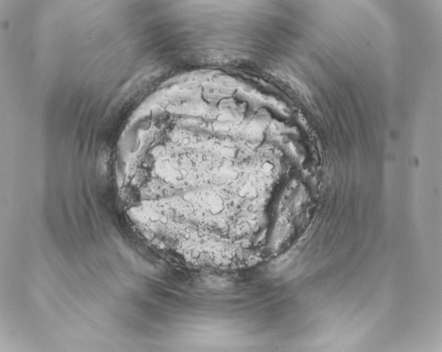 X0000088590166200706151745