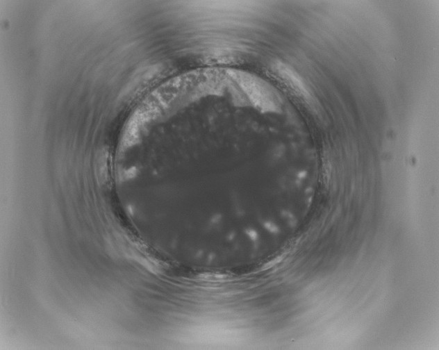 X0000088590169200706151745