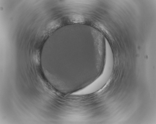 X0000088590170200706151745