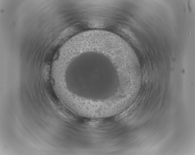 X0000088590171200706151745