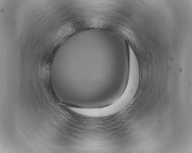 X0000088590172200706151745