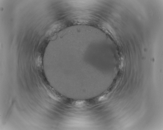 X0000088590173200706151745