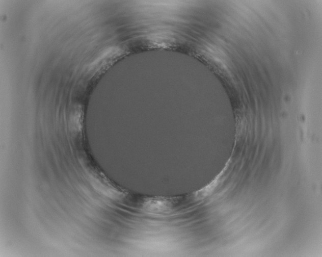 X0000088590174200706151745