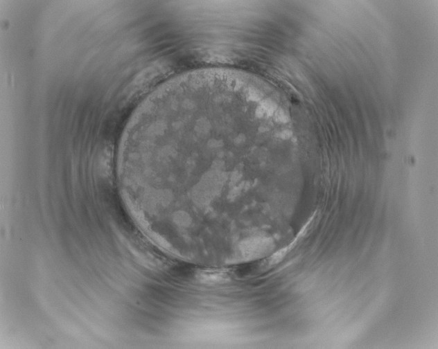 X0000088590175200706151745